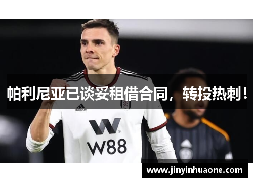 帕利尼亚已谈妥租借合同，转投热刺！